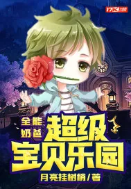 《全能奶爸:超级宝贝乐园》小说封面