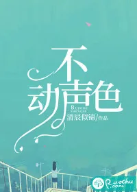 《不动声色》小说封面