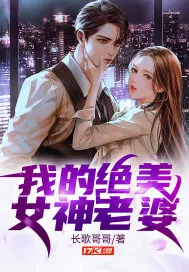 《我的绝美女神老婆》小说封面