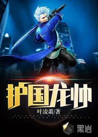 《护国龙帅》小说封面