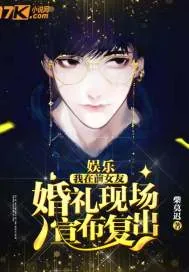 《娱乐：我在前女友婚礼现场，宣布复出》小说封面