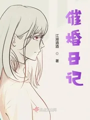 《催婚日记》小说封面