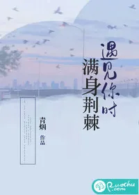 《遇见你时满身荆棘》小说封面
