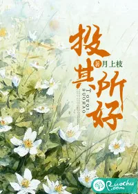 《投其所好》小说封面