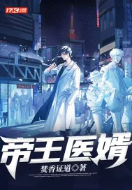 《帝王医婿》小说封面