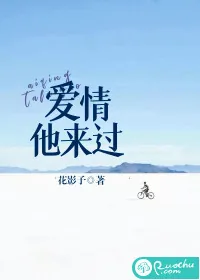 《爱情，他来过》小说封面