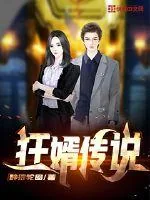 《狂婿传说》小说封面