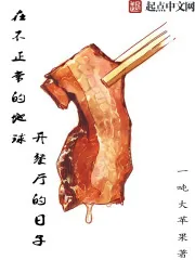 《在不正常的地球开餐厅的日子》小说封面
