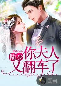 《陆少，你夫人又翻车了》小说封面