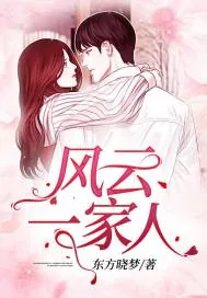 《风云一家人》小说封面