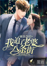 《被误会后，我追了老婆八条街》小说封面
