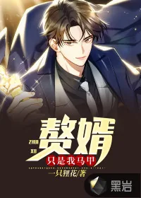 《赘婿只是我马甲》小说封面