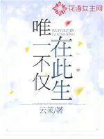 《唯一不仅在此生》小说封面