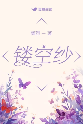 《镂空纱》小说封面
