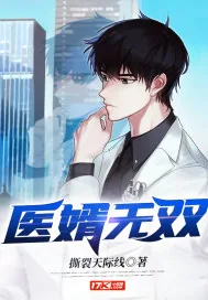 《医婿无双》小说封面