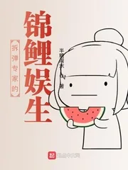 《娱乐圈的拆弹专家》小说封面