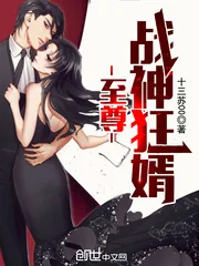 《至尊战神狂婿》小说封面