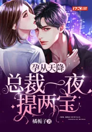《孕从天降，总裁一夜提两宝》小说封面