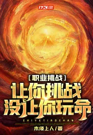 《职业挑战:让你挑战,没让你玩命!》小说封面