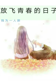 《放飞青春的日子》小说封面
