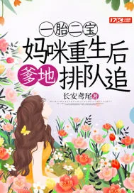 《一胎二宝：妈咪重生后爹地排队追》小说封面