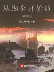 《从淘金开始的财阀》小说封面