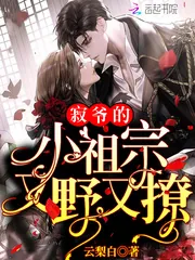 《寂爷的小祖宗又野又撩》小说封面