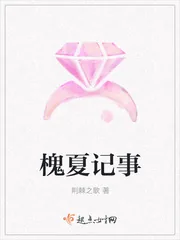 《槐夏记事》小说封面