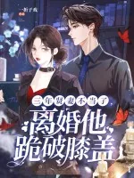 《三年贤妻不当了,离婚他跪破膝盖》小说封面