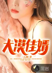 《大漠佳婿》小说封面