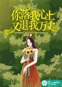 《你落我心上，又退我万丈》小说封面