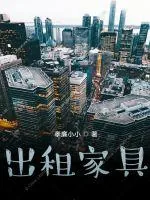 《出租家具》小说封面