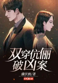 《双穿伉俪破凶案》小说封面