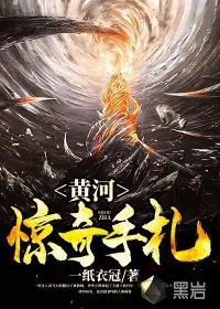 《黄河惊奇手札》小说封面