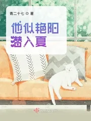 《他似艳阳潜入夏》小说封面