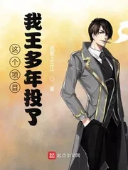 《这个项目，我王多年投了》小说封面