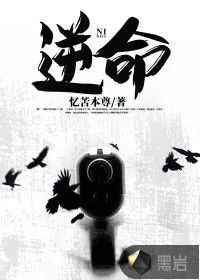 《逆命》小说封面