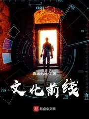 《文化前线》小说封面