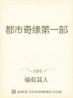 《都市奇缘第一部》小说封面