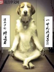 《深山中的修道者》小说封面