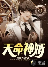 《天命神婿》小说封面