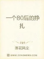 《一个80后的挣扎》小说封面