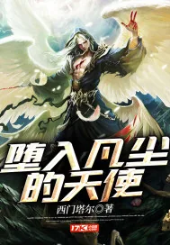 《堕入凡尘的天使》小说封面