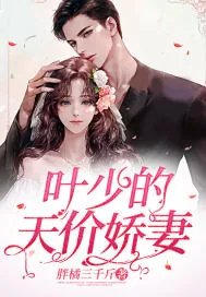 《叶少的天价娇妻》小说封面