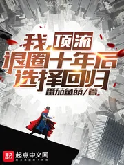 《我，顶流，退圈十年后选择回归》小说封面