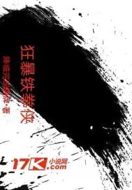 《狂暴铁拳侠》小说封面
