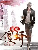 《嚣张傻婿》小说封面