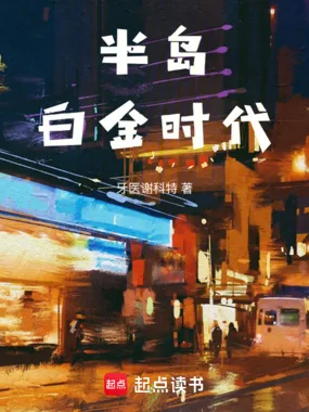 《半岛白金时代》小说封面