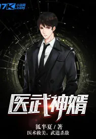 《医武神婿》小说封面
