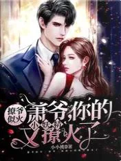 《萧爷,你的小妖精又撩火了》小说封面